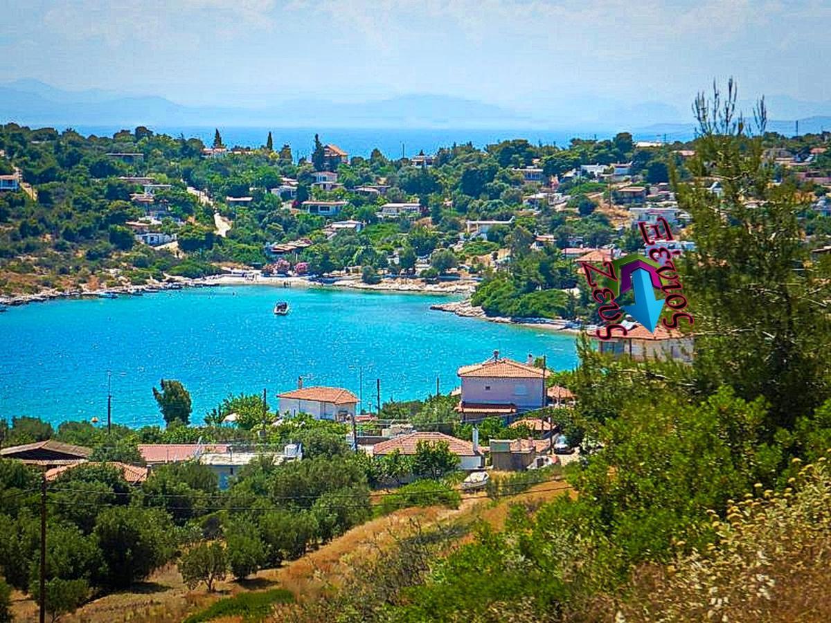 Ξένιος Ζευς Ηλιακτής. Χώρος Χαλάρωσης & Ξεκούρασης Apartment Agios Georgios  Екстериор снимка